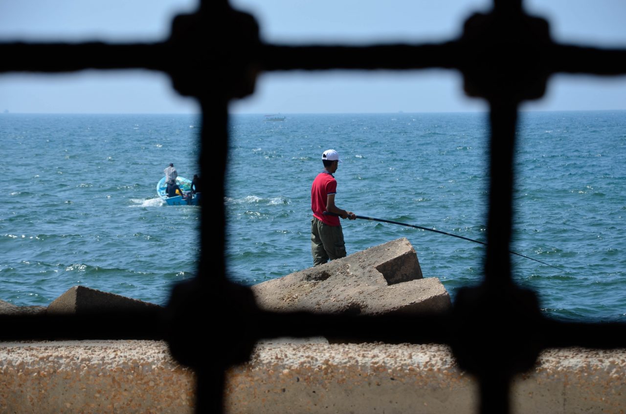 Ocean angler – Жизнь