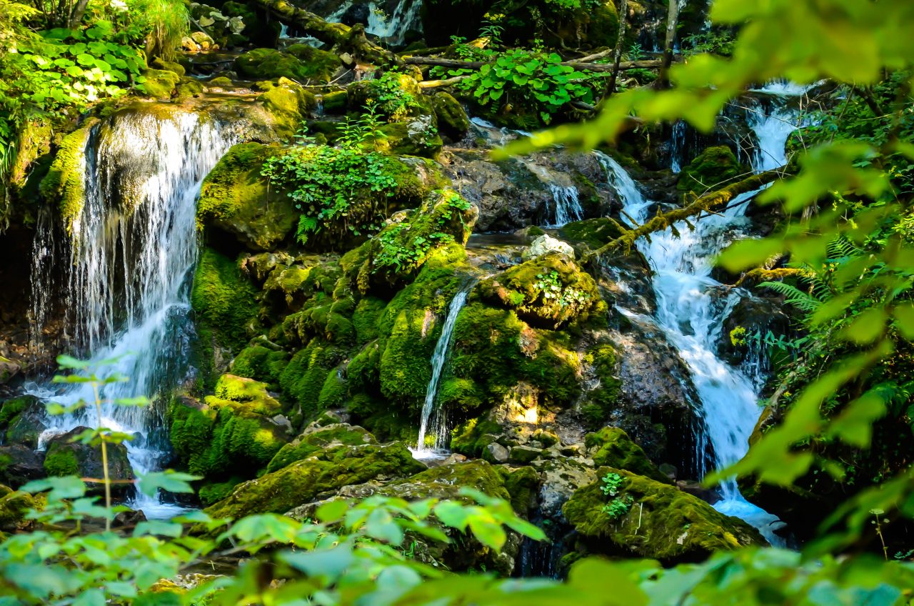 Living stream – Natur