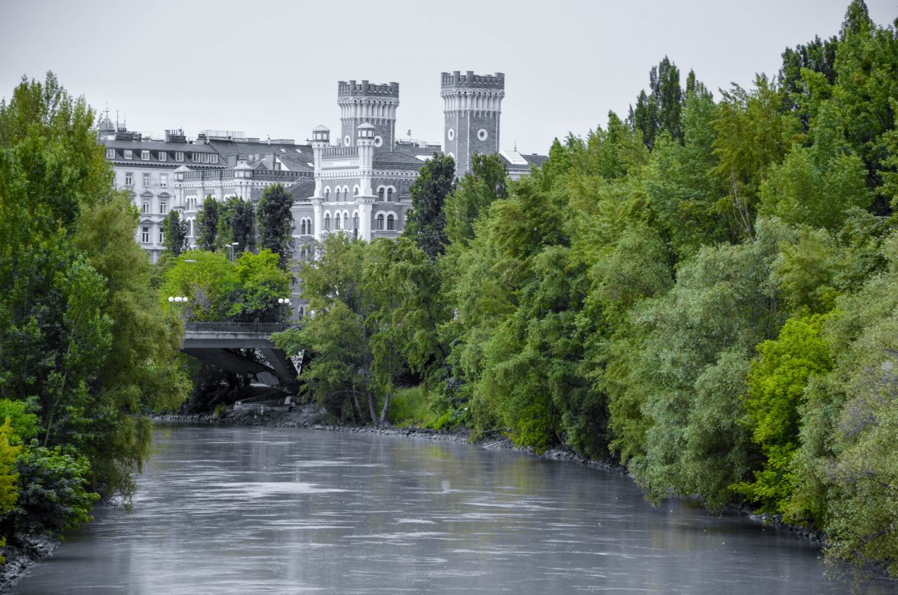 Danubian-canal – Natur
