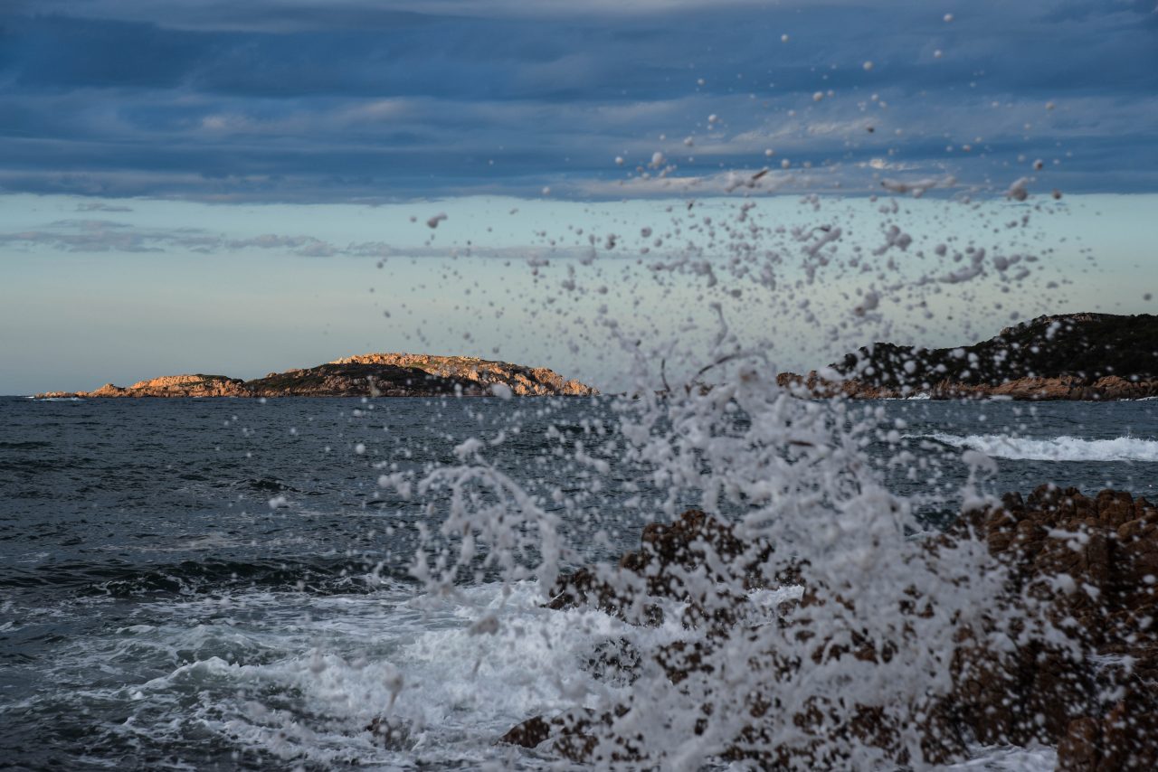 Sea brakers – Natur