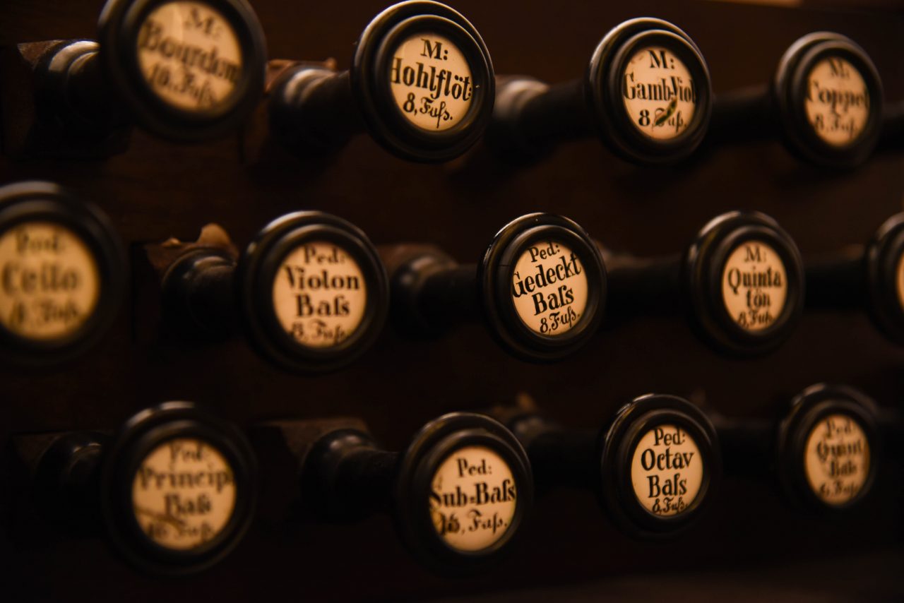 Organ I – Schnappschüsse