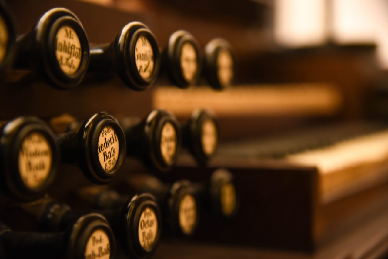 Organ II – Schnappschüsse