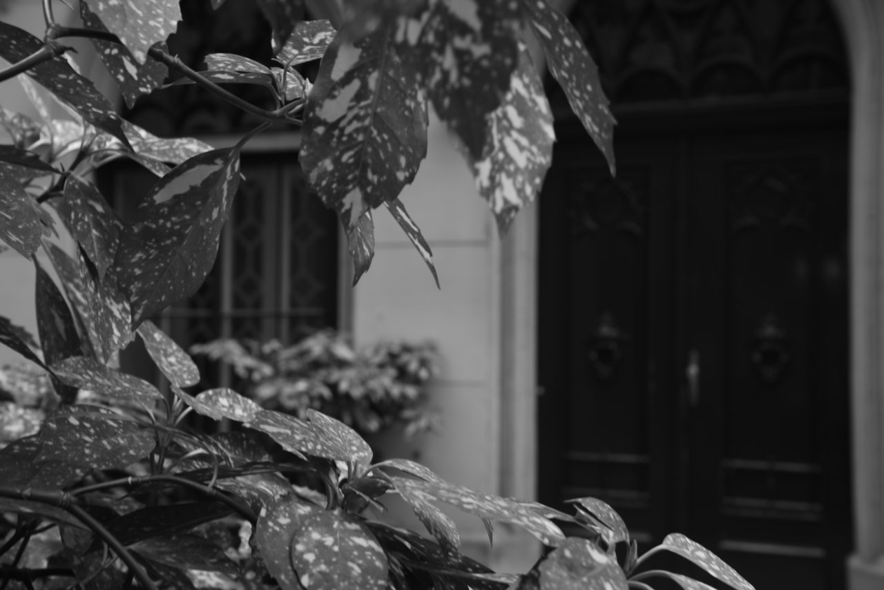 Entrance I – Schnappschüsse