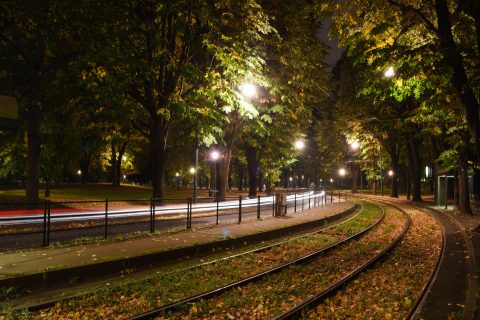 In the park